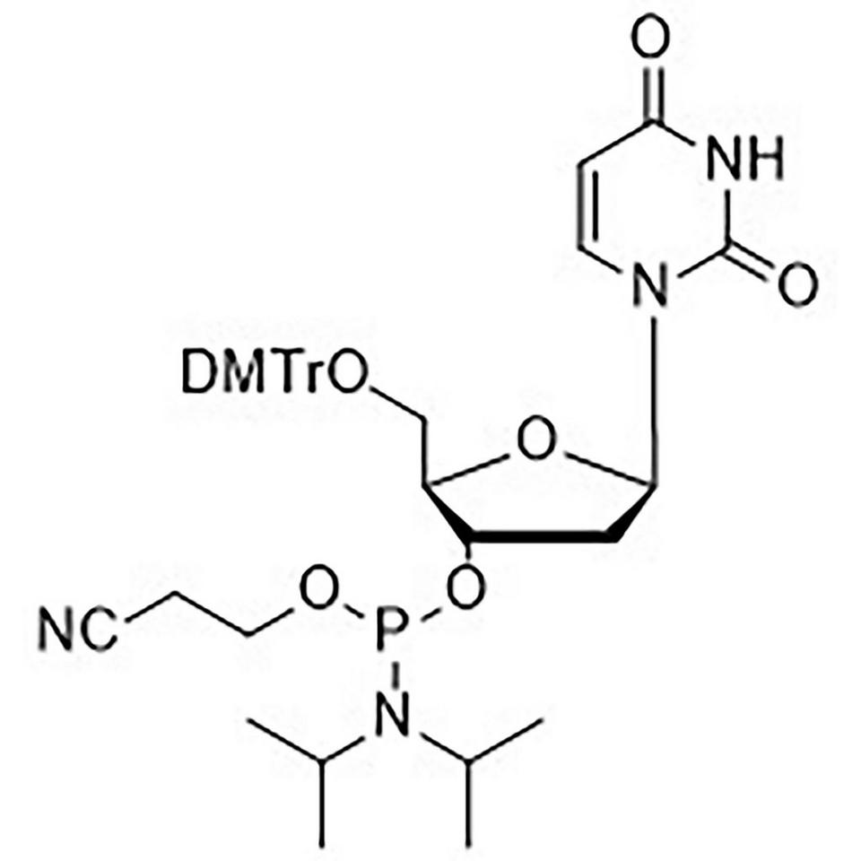5'-DMT-dU Amidite (5'-DMT-deoxyUridine)